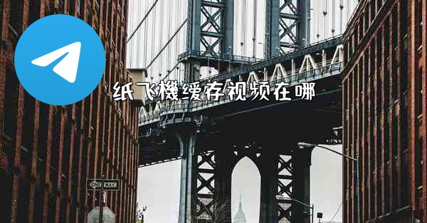 纸飞機缓存视频在哪