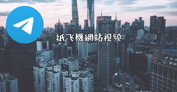 纸飞機網站视频