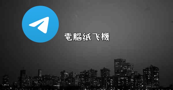 電腦纸飞機