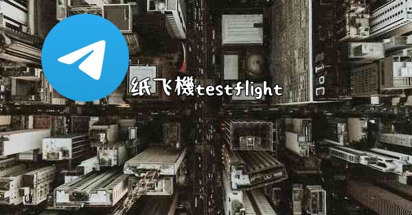 纸飞機testflight