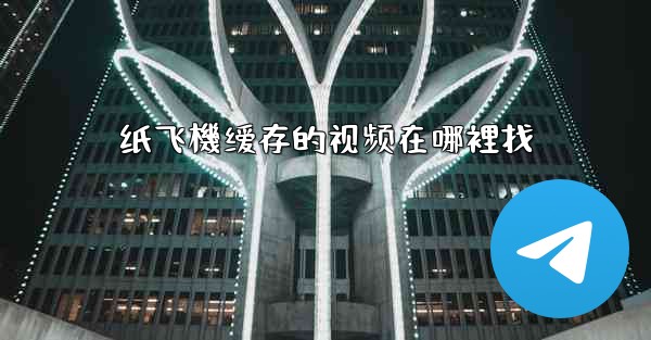 纸飞機缓存的视频在哪裡找