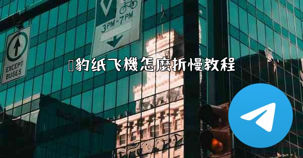 猎豹纸飞機怎麼折慢教程