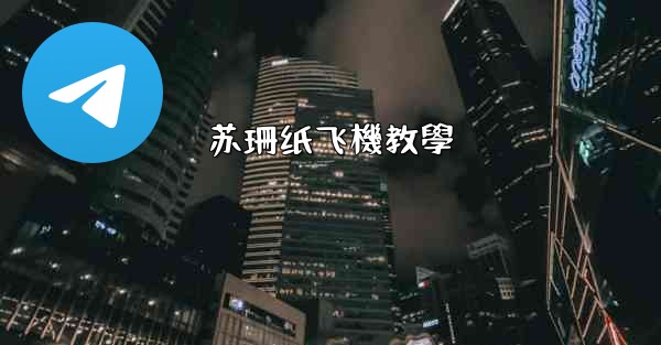 苏珊纸飞機教學