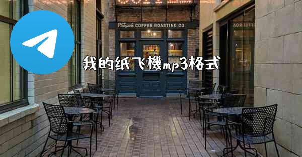 我的纸飞機mp3格式