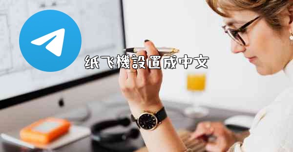 纸飞機設置成中文