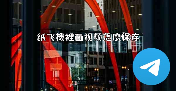 纸飞機裡面视频怎麼保存