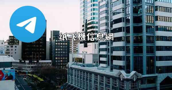 纸飞機信息網