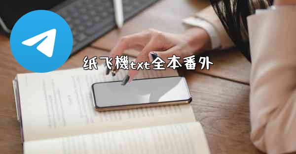 纸飞機txt全本番外