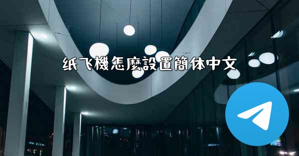 纸飞機怎麼設置簡体中文