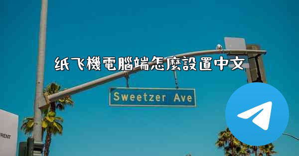 纸飞機電腦端怎麼設置中文