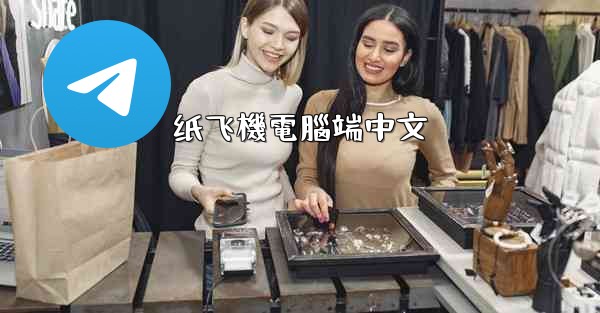 纸飞機電腦端中文