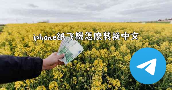 iphone纸飞機怎麼转换中文