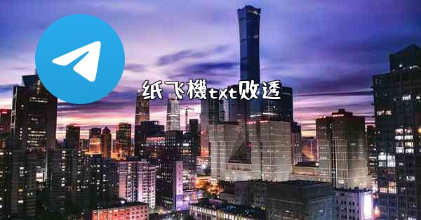 纸飞機txt剧透