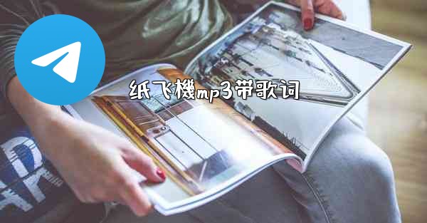 纸飞機mp3带歌词