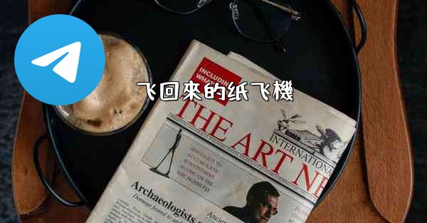 飞回來的纸飞機