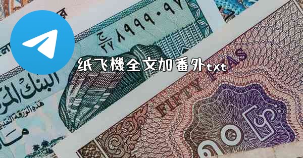 纸飞機全文加番外txt