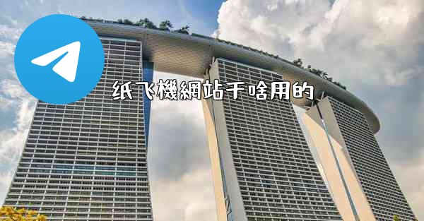 纸飞機網站干啥用的