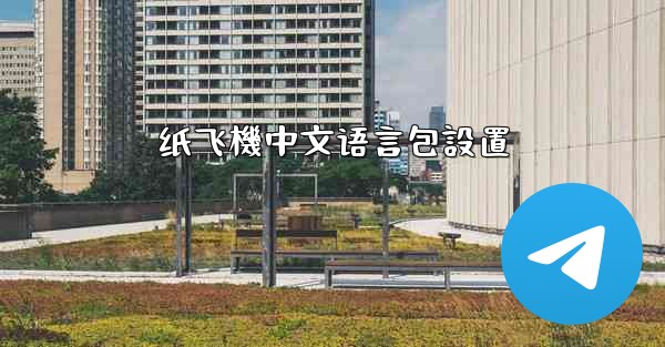 纸飞機中文语言包設置
