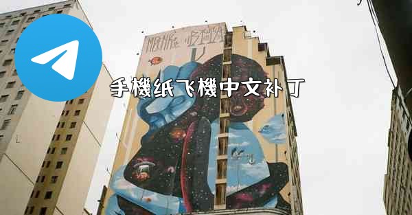 手機纸飞機中文补丁