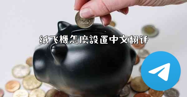 纸飞機怎麼設置中文翻译