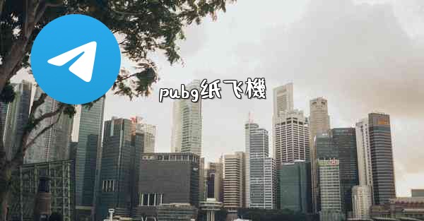 pubg纸飞機