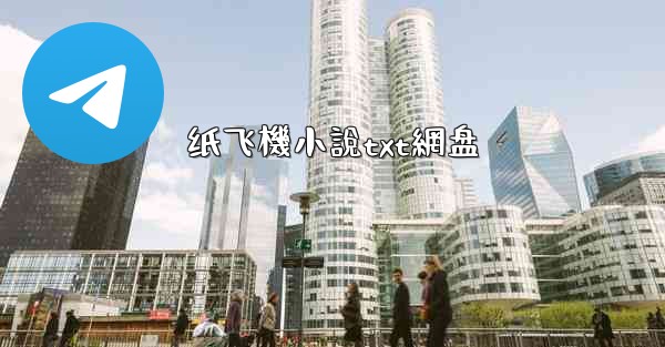 纸飞機小說txt網盘