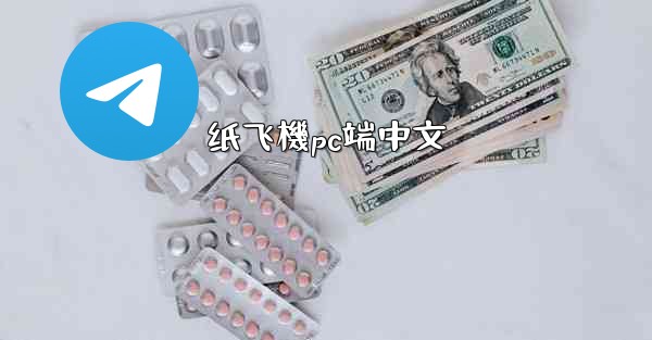 纸飞機pc端中文