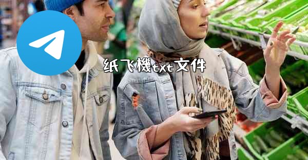 纸飞機txt文件