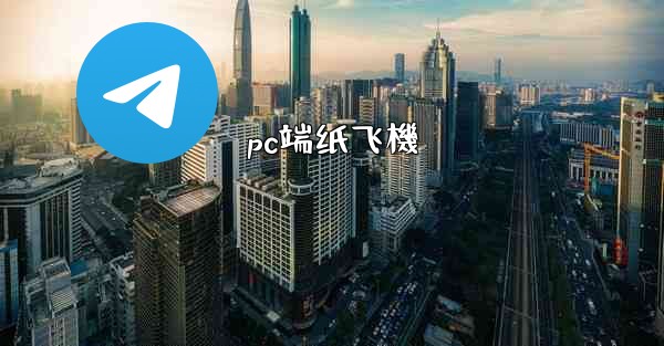 pc端纸飞機