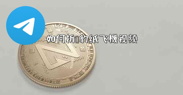 如何折猎豹纸飞機视频