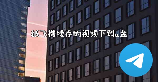 纸飞機缓存的视频下到u盘