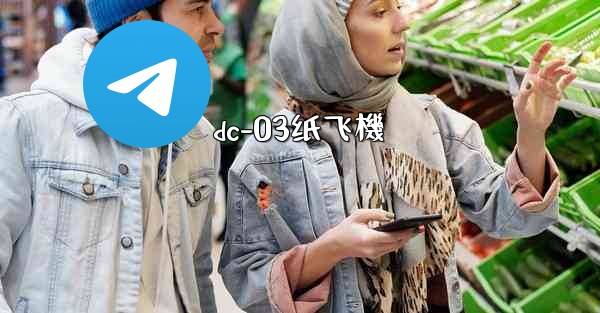 dc-03纸飞機