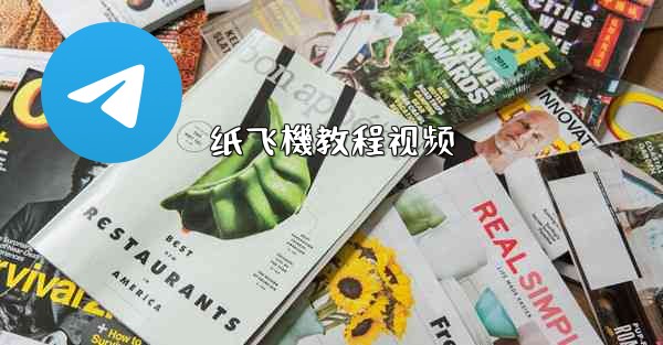 纸飞機教程视频