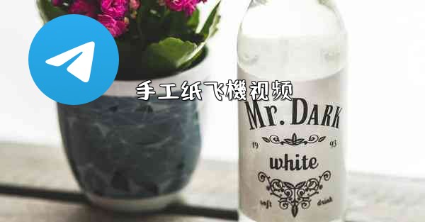 手工纸飞機视频