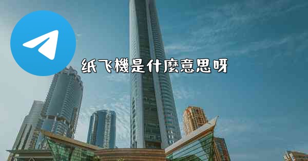 纸飞機是什麼意思呀