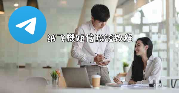 <b>纸飞機短信驗證教程</b>