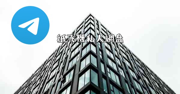 纸飞機私人網盘