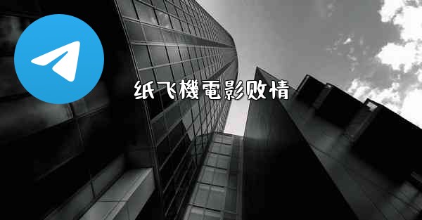 纸飞機電影剧情