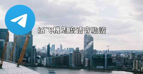 纸飞機怎麼语音驗證
