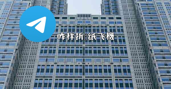 咋样折叠纸飞機