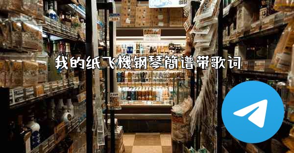 我的纸飞機钢琴簡谱带歌词