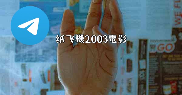 纸飞機2003電影