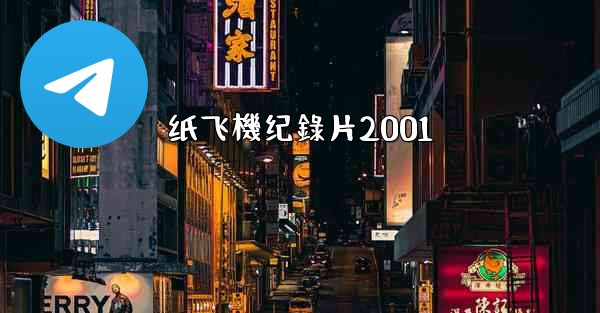 纸飞機纪錄片2001