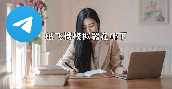 纸飞機模拟器在哪下