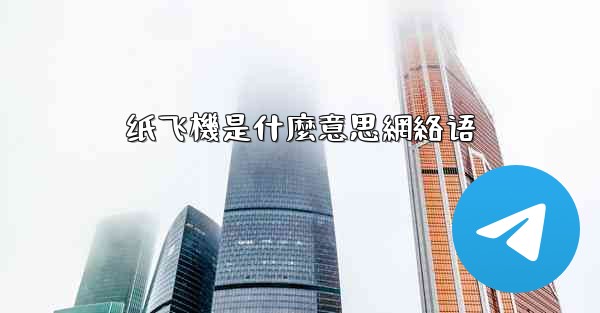 纸飞機是什麼意思網絡语