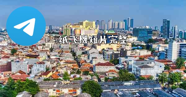 纸飞機短片完整