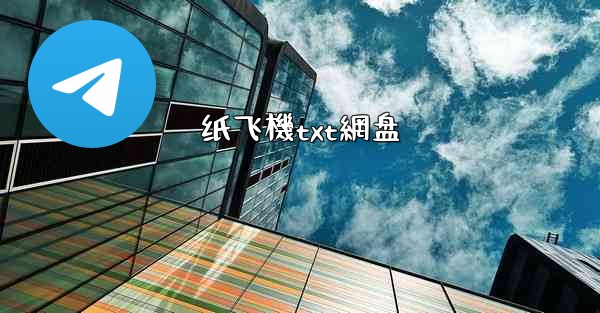 纸飞機txt網盘