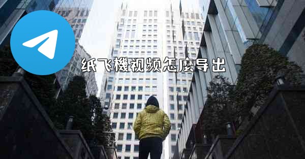 纸飞機视频怎麼导出