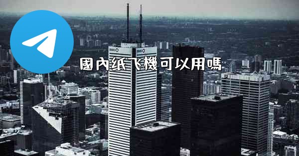 國內纸飞機可以用嗎