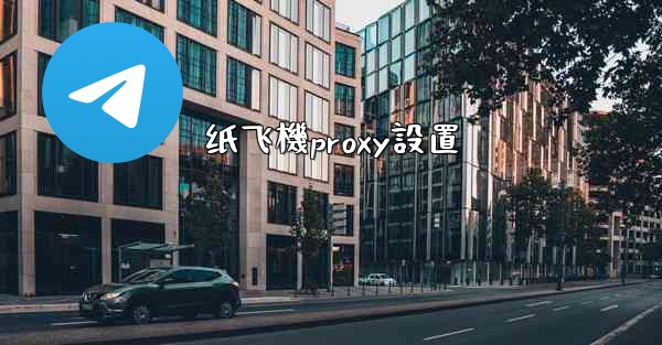 纸飞機proxy設置